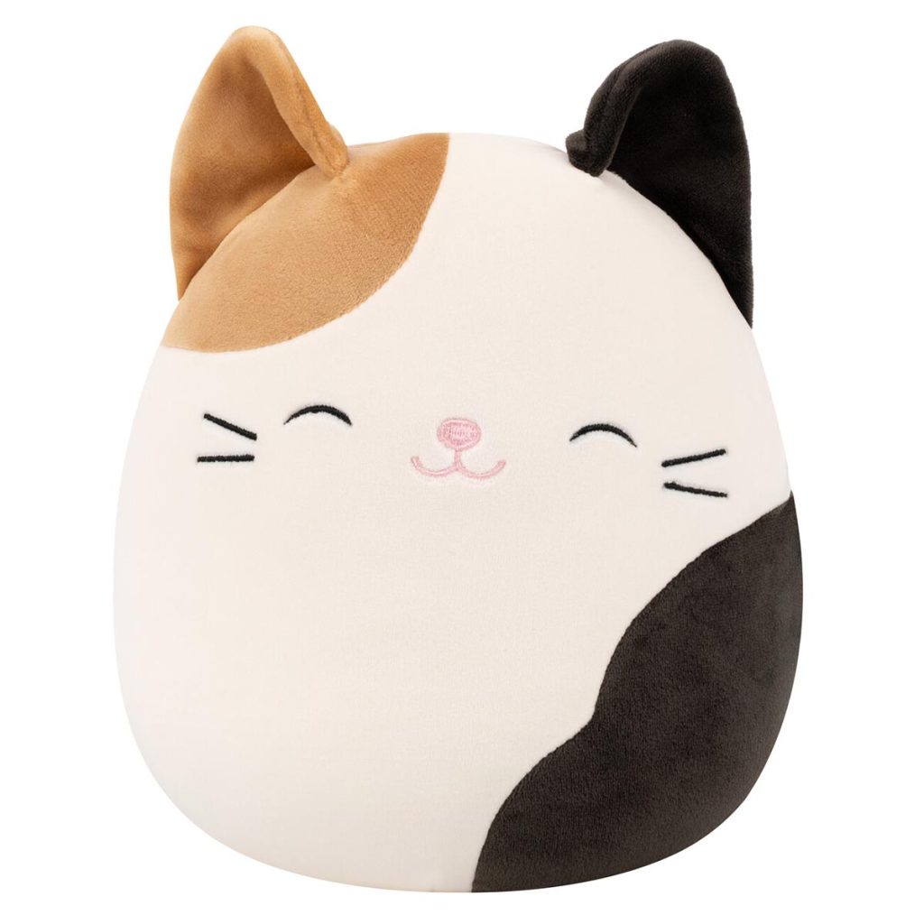 Cam the Calico Cat